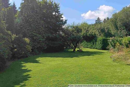 Apfelbaum im Garten - 