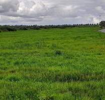 Baugrundstücke in Drochtersen - 145.200,00&nbsp;EUR Kaufpreis, ca.&nbsp; 0,00&nbsp;m&sup2; in Drochtersen (PLZ: 21706)