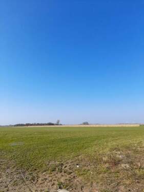 Bild 4 - Grundstück in Drochtersen zum Kaufen