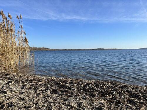 Der Geiseltalsee - 
