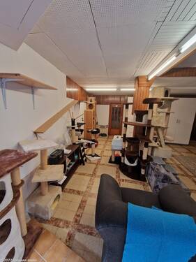Ladenlokal - 