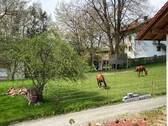 Umgebung - 