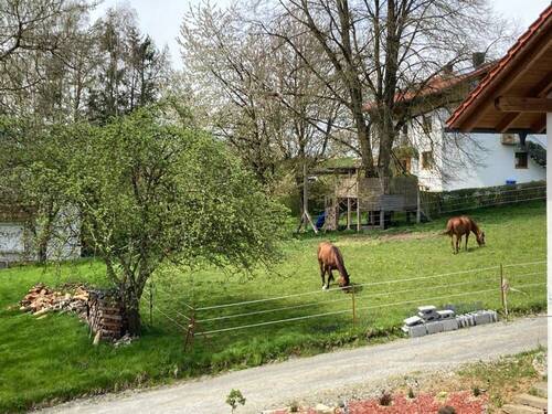 Umgebung - 