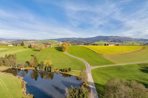 Umgebung - 