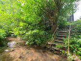 Bachlauf - Blick auf Terrasse - 