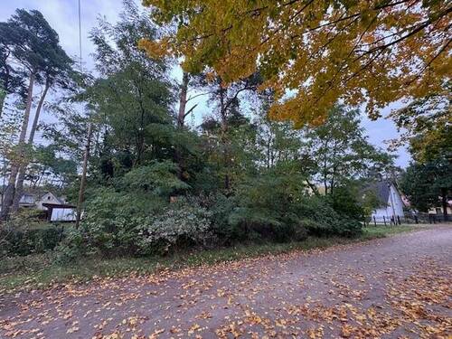 Straßenansicht - Provisionsfrei vom Eigentümer-Traumhaftes Baugrundstück, naturbelassen in ruhiger Lage von Rehfelde!