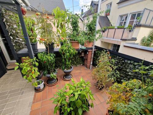 Wintergarten - 
