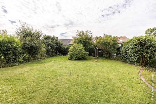 Weitere Gartenaufnahme - 