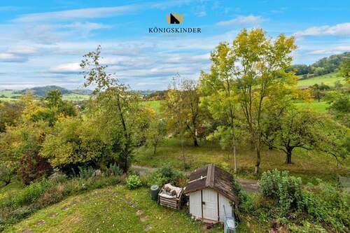 ...das sehen Sie, wenn Sie aus dem Dachzimmer schauen... - 