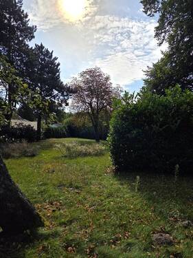 Garten Teilansicht - 