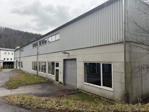 Bild 2 - Halle zum Kaufen in Großrückerswalde