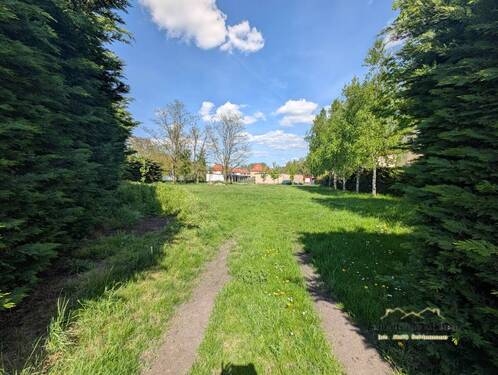 Freifläche - Grundstück zur Miete in Bitterfeld