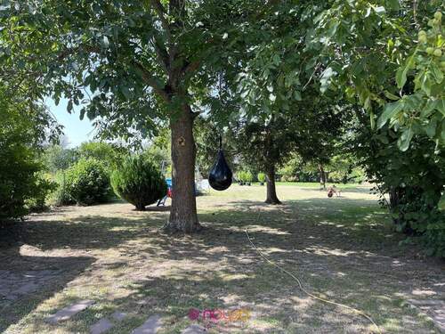 In DEN Garten! Das Paradies für Hobbygärtner, Kinder und Haustiere. - 
