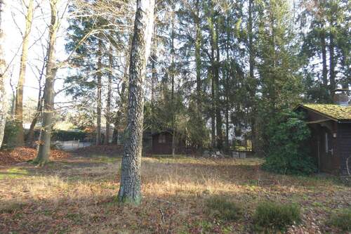 Ansicht auf das Eingangstor an der nördlichen Grundstücksgrenze - 