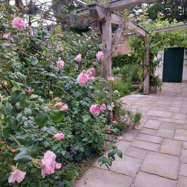 Terrasse mit Zugang Werkstatt - 