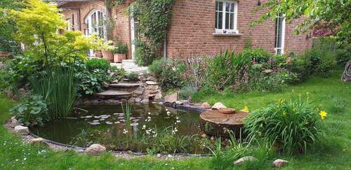 Blick über den Gartenteich - 