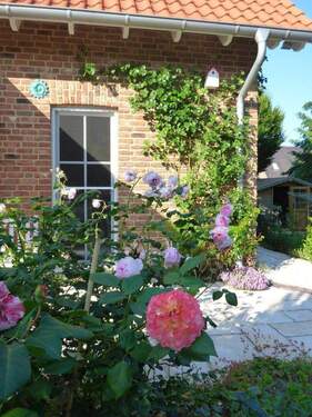 Terrassentür Küche - 