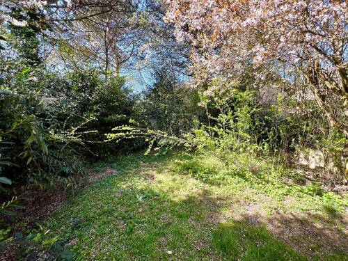 Romantischer Garten - 