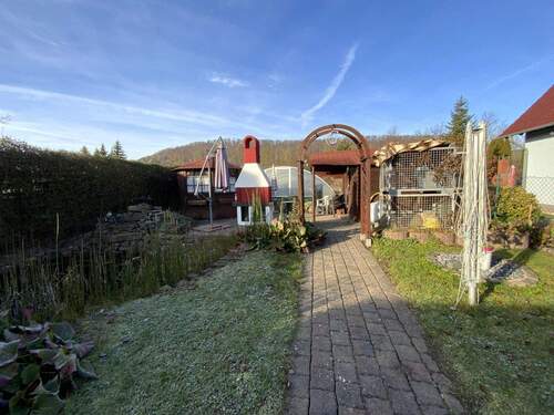 Blick in den Garten - 