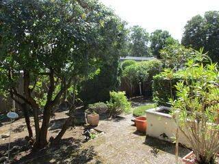 Blick in den Garten - 