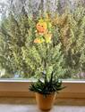 Hausflurimpression - 