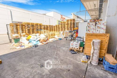_DSC6231 - 