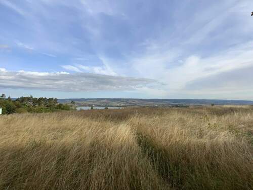 Umgebung Stausee Kelbra - 