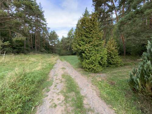 Feldweg mit Zufahrt - 