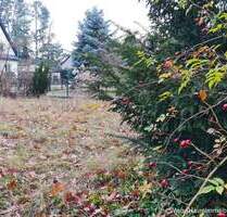 Grundstück mit schöner Lage im gewachsenen Wohngebiet - Senzig