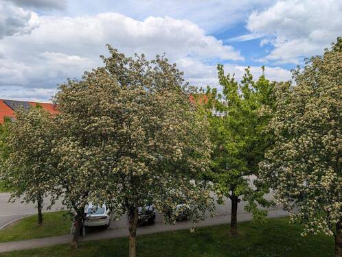 Blick: Schlafzimmer - 