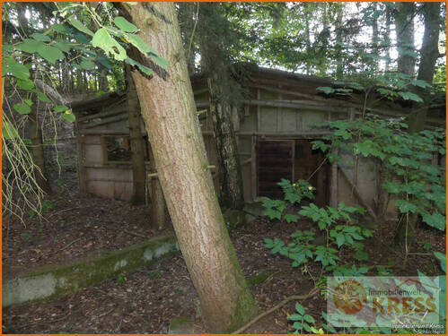 Bild 10 - 