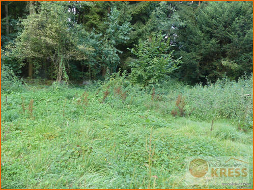 Bild 14 - 