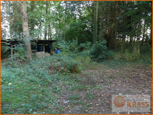 Bild 6 - 