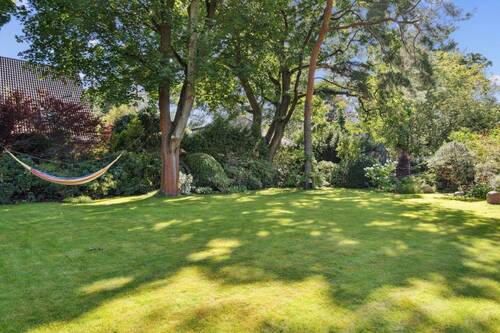 Blick in den Garten - 