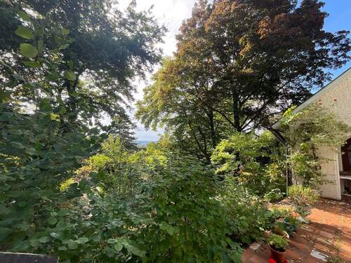 Außenansicht Garten - 