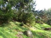 hinterer Grundstücksteil Wald - 