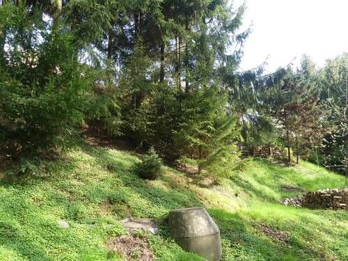 hinterer Grundstücksteil Wald - 