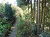 hinterer Grundstücksteil Wald - 