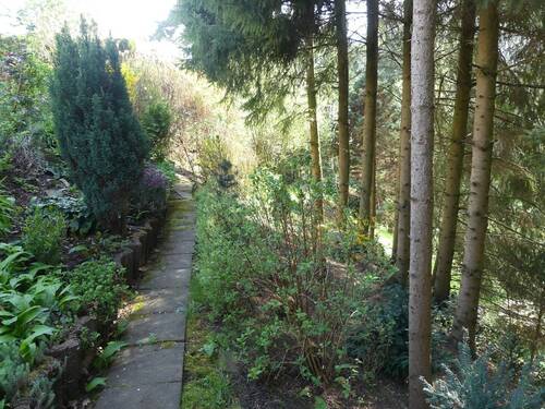 hinterer Grundstücksteil Wald - 