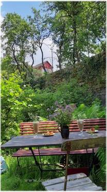 Blick vom Garten auf das Gebäude - 