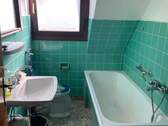 IMG_2142.jpeg - 
