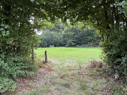 Grundstück - Grundstück zum Kaufen in Monschau- Höfen