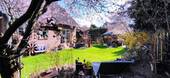 Garten.jpg - 