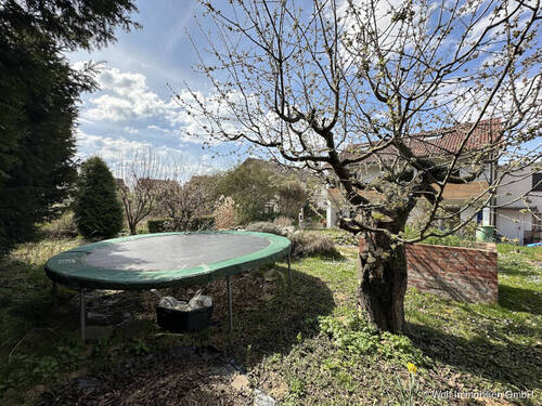 Garten Detailansicht - 