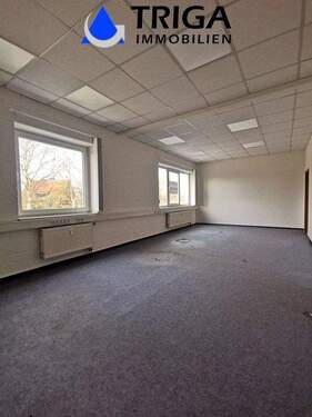 IMG_20251127_115342 - 