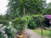 Weg zum Eingang - 