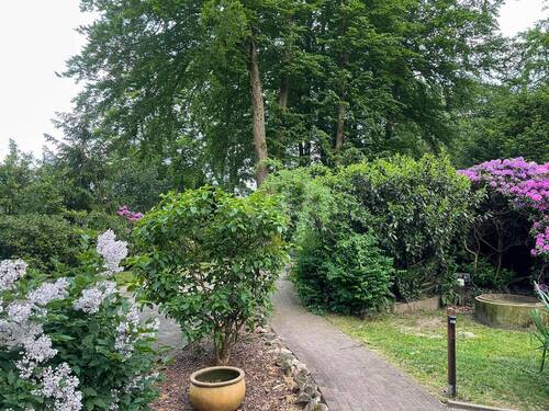 Weg zum Eingang - 