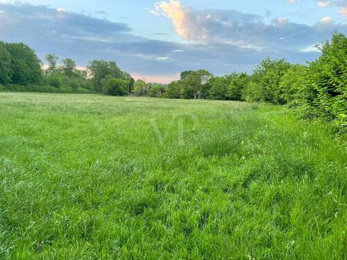 Natur Pur - 