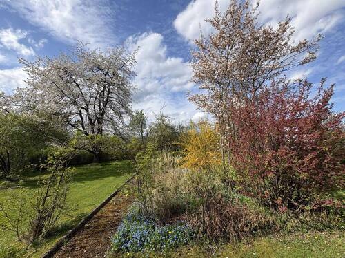 Garten - 