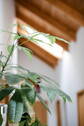 Heller Flur - 